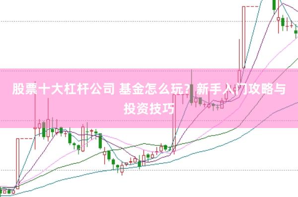 股票十大杠杆公司 基金怎么玩？新手入门攻略与投资技巧
