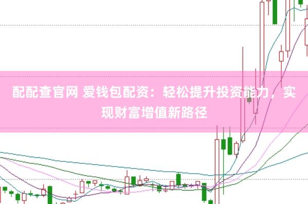 配配查官网 爱钱包配资：轻松提升投资能力，实现财富增值新路径