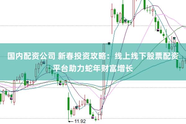 国内配资公司 新春投资攻略：线上线下股票配资平台助力蛇年财富增长