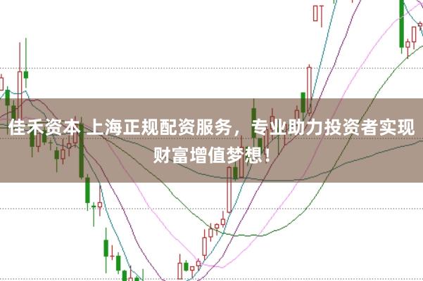佳禾资本 上海正规配资服务，专业助力投资者实现财富增值梦想！