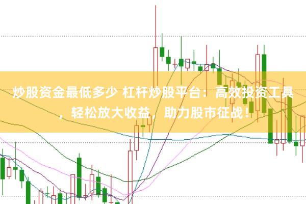 炒股资金最低多少 杠杆炒股平台：高效投资工具，轻松放大收益，助力股市征战！