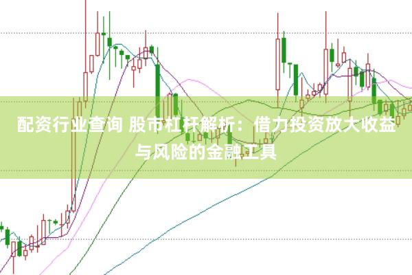 配资行业查询 股市杠杆解析：借力投资放大收益与风险的金融工具