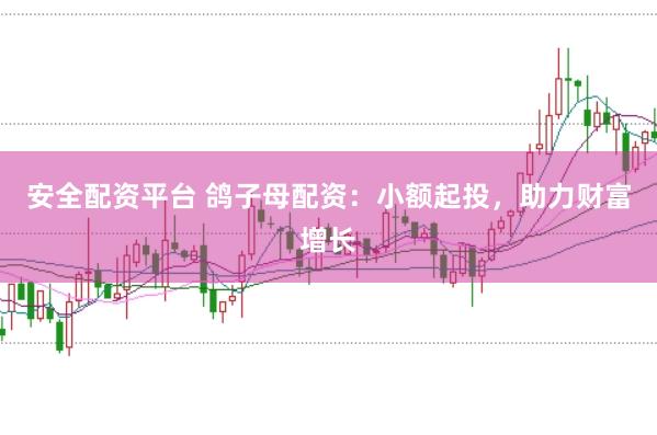 安全配资平台 鸽子母配资：小额起投，助力财富增长