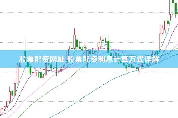 股票配资网址 股票配资利息计算方式详解