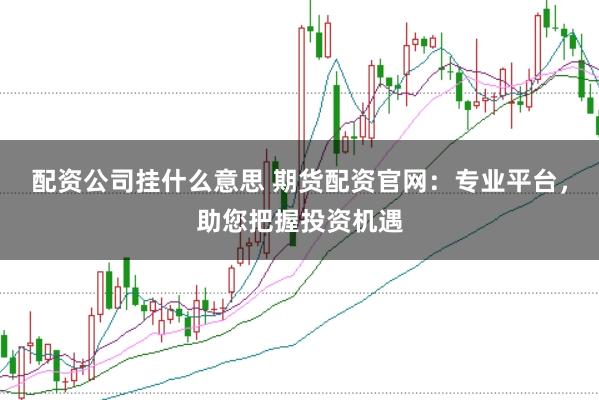 配资公司挂什么意思 期货配资官网：专业平台，助您把握投资机遇