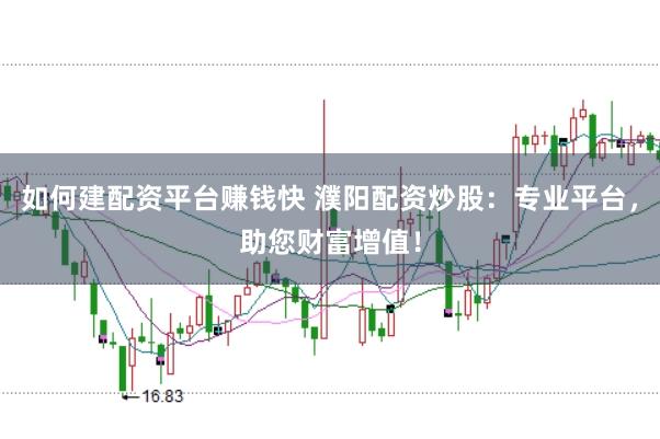 如何建配资平台赚钱快 濮阳配资炒股：专业平台，助您财富增值！