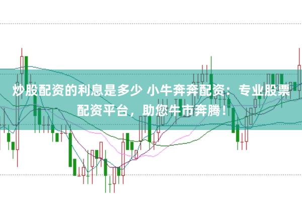 炒股配资的利息是多少 小牛奔奔配资：专业股票配资平台，助您牛市奔腾！