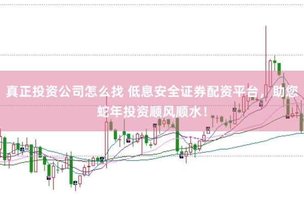 真正投资公司怎么找 低息安全证券配资平台，助您蛇年投资顺风顺水！