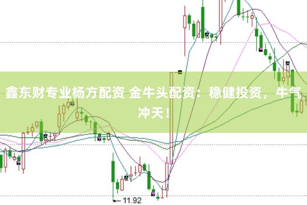 鑫东财专业杨方配资 金牛头配资：稳健投资，牛气冲天！
