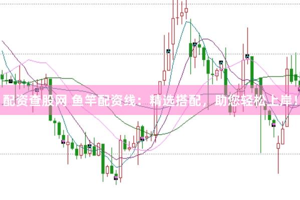 配资查股网 鱼竿配资线：精选搭配，助您轻松上岸！