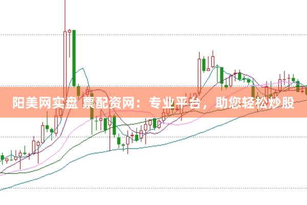 阳美网实盘 票配资网：专业平台，助您轻松炒股