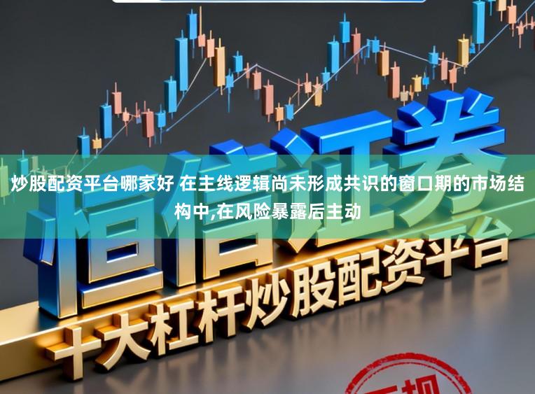 炒股配资平台哪家好 在主线逻辑尚未形成共识的窗口期的市场结构中，在风险暴露后主动