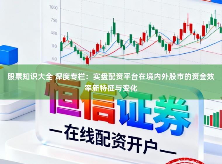 股票知识大全 深度专栏：实盘配资平台在境内外股市的资金效率新特征与变化
